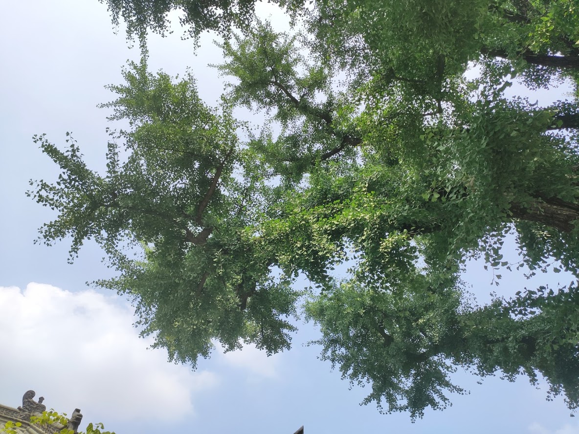 寿县 孔庙